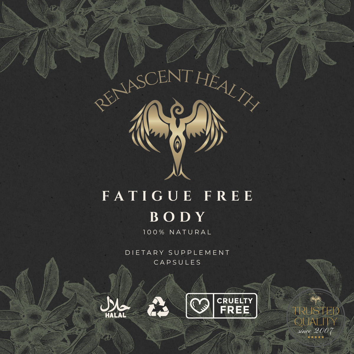 Fatigue Free - Body