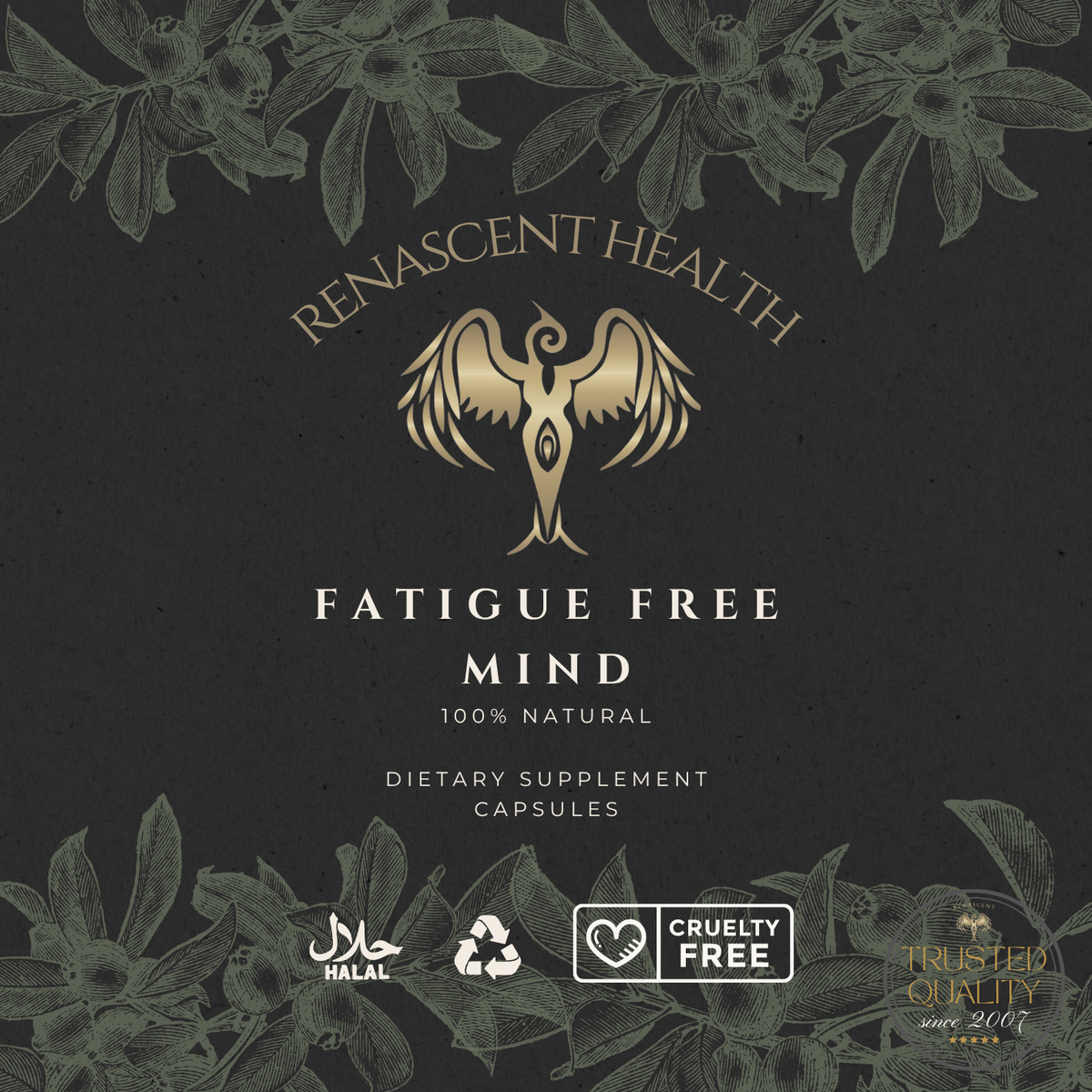 Fatigue Free - Mind