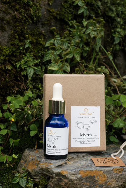 YGEIA 10ml Oil Bundle (4 Oils)